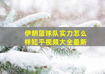 伊朗篮球队实力怎么样知乎视频大全最新