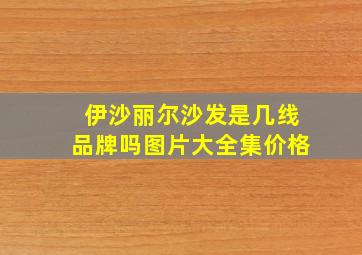 伊沙丽尔沙发是几线品牌吗图片大全集价格