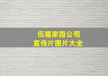 伍福家园公司宣传片图片大全