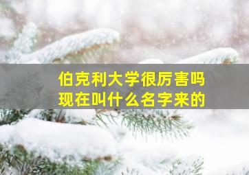 伯克利大学很厉害吗现在叫什么名字来的