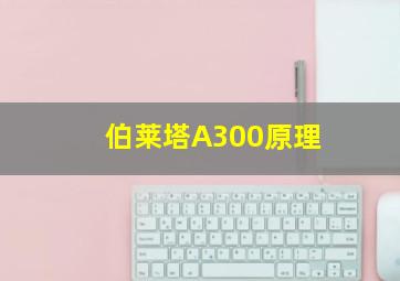 伯莱塔A300原理