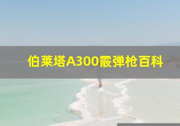 伯莱塔A300霰弹枪百科