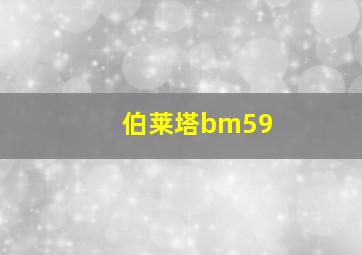 伯莱塔bm59