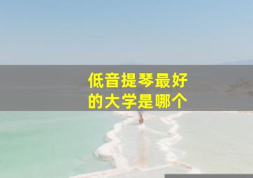 低音提琴最好的大学是哪个