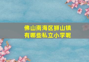 佛山南海区狮山镇有哪些私立小学呢