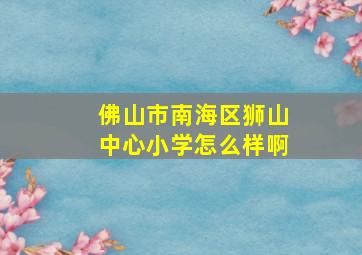 佛山市南海区狮山中心小学怎么样啊