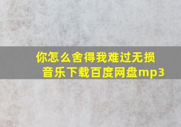 你怎么舍得我难过无损音乐下载百度网盘mp3