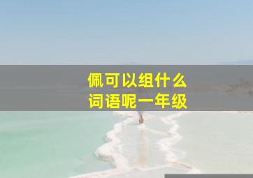 佩可以组什么词语呢一年级