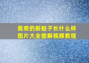 佩奇的新鞋子长什么样图片大全图解视频教程