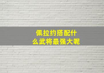 佩拉约搭配什么武将最强大呢