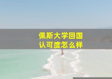 佩斯大学回国认可度怎么样