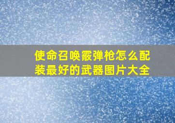 使命召唤霰弹枪怎么配装最好的武器图片大全