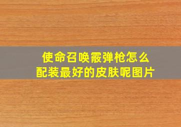 使命召唤霰弹枪怎么配装最好的皮肤呢图片