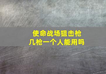 使命战场狙击枪几枪一个人能用吗