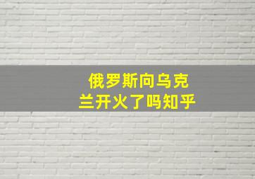 俄罗斯向乌克兰开火了吗知乎