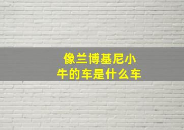 像兰博基尼小牛的车是什么车