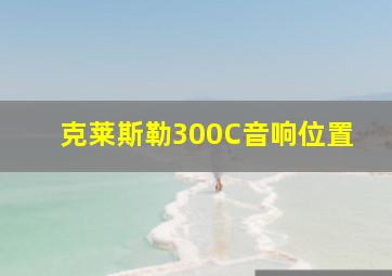 克莱斯勒300C音响位置