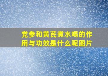 党参和黄芪煮水喝的作用与功效是什么呢图片