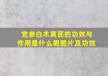 党参白术黄芪的功效与作用是什么呢图片及功效