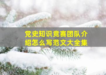 党史知识竞赛团队介绍怎么写范文大全集