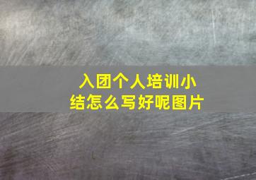 入团个人培训小结怎么写好呢图片