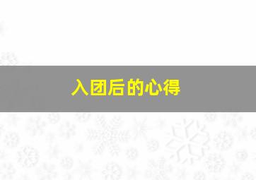 入团后的心得