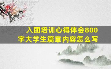 入团培训心得体会800字大学生篇章内容怎么写