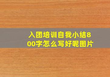 入团培训自我小结800字怎么写好呢图片