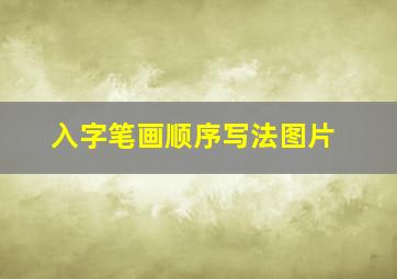 入字笔画顺序写法图片