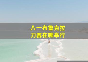 八一布鲁克拉力赛在哪举行