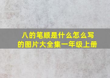 八的笔顺是什么怎么写的图片大全集一年级上册