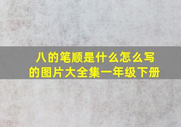 八的笔顺是什么怎么写的图片大全集一年级下册