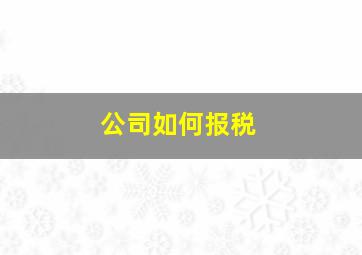 公司如何报税