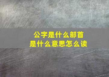 公字是什么部首是什么意思怎么读