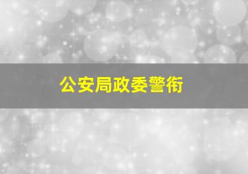 公安局政委警衔