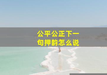 公平公正下一句押韵怎么说