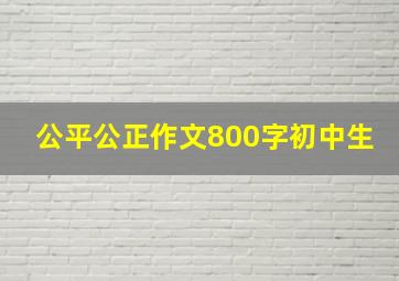 公平公正作文800字初中生