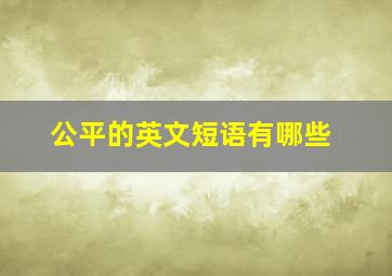 公平的英文短语有哪些