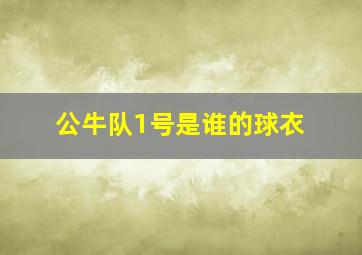 公牛队1号是谁的球衣