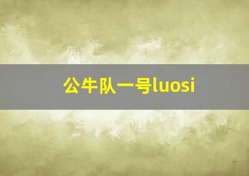 公牛队一号luosi