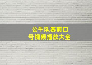 公牛队赛前口号视频播放大全