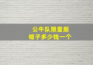 公牛队限量版帽子多少钱一个