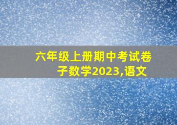 六年级上册期中考试卷子数学2023,语文