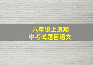 六年级上册期中考试题目语文