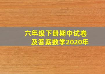 六年级下册期中试卷及答案数学2020年