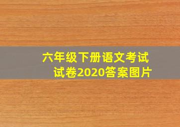 六年级下册语文考试试卷2020答案图片