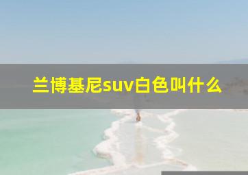 兰博基尼suv白色叫什么