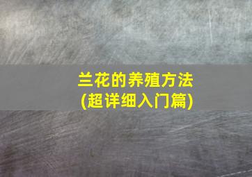 兰花的养殖方法(超详细入门篇)