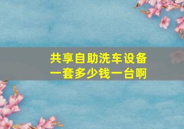 共享自助洗车设备一套多少钱一台啊