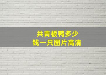 共青板鸭多少钱一只图片高清